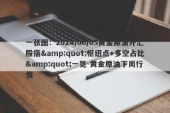 一张图：2024/06/05黄金原油外汇股指&amp;quot;枢纽点+多空占比&amp;quot;一览