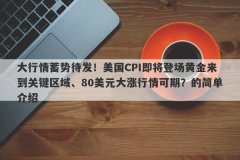 大行情蓄势待发！美国CPI即将登场黄金来到关键区域、80美元大涨行情可期？的简单介绍